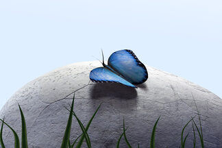 Le jardin des secrets salon de beauté bien-être