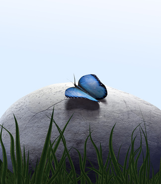 Le jardin des secrets salon de beauté bien-être